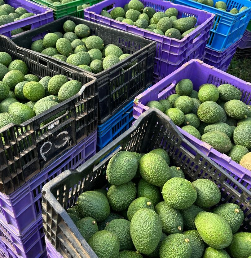 On-Farm Loading